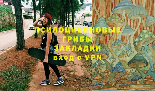 ГАЛЛЮЦИНОГЕННЫЕ ГРИБЫ Верея