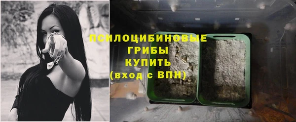 соль курить ск Верхний Тагил
