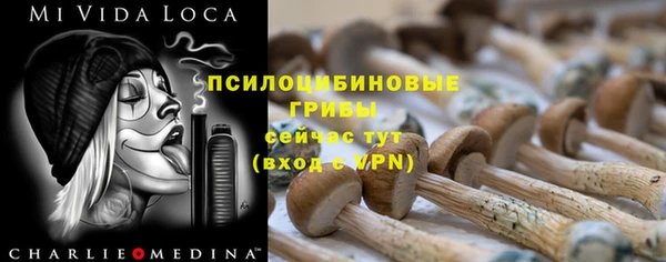 ГАЛЛЮЦИНОГЕННЫЕ ГРИБЫ Верея