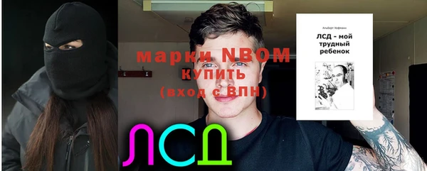 ГАЛЛЮЦИНОГЕННЫЕ ГРИБЫ Верея