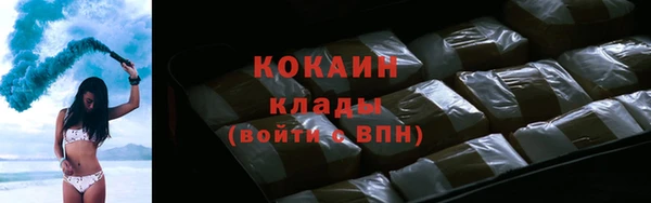 ГАЛЛЮЦИНОГЕННЫЕ ГРИБЫ Верея