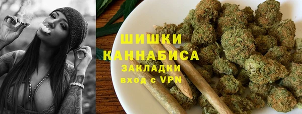 ГАЛЛЮЦИНОГЕННЫЕ ГРИБЫ Верея