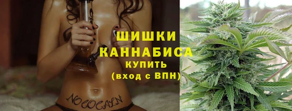ГАЛЛЮЦИНОГЕННЫЕ ГРИБЫ Верея